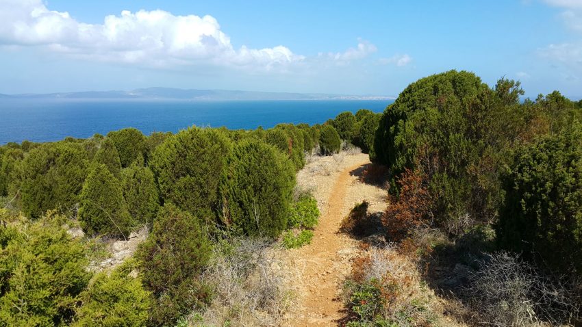 ESCURSIONE  DA PORTO PINO A SU PORTU DE SU TRIGU